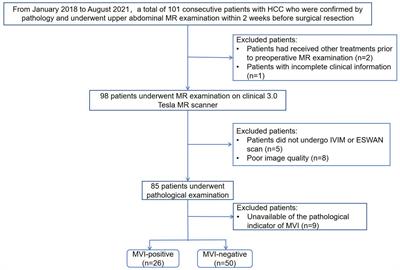 Intravoxel incoherent motion and enhanced T2*-weighted angiography for preoperative prediction of microvascular invasion in hepatocellular carcinoma